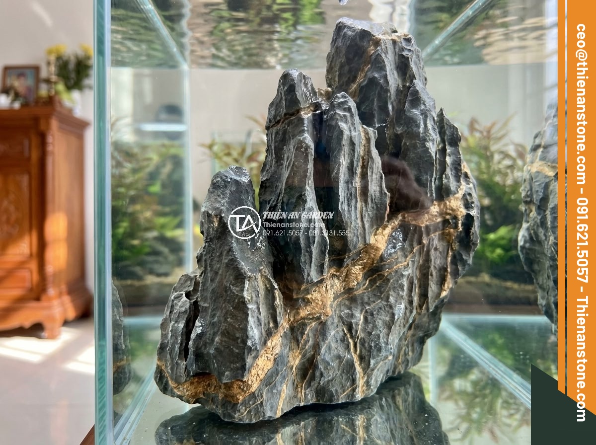 Top Đá San Hô & Đá Sống Làm Hồ Cá Biển & Hồ Thủy Sinh - Hình 16 Top Đá San Hô & Đá Sống Làm Hồ Cá Biển & Hồ Thủy Sinh - Safe usage guidelines for live rocks and coral stones in both saltwater and fres