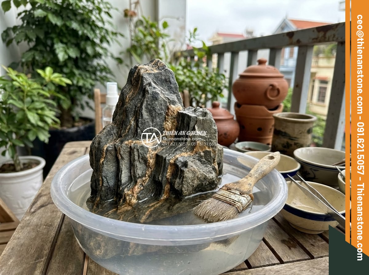 Top Đá San Hô & Đá Sống Làm Hồ Cá Biển & Hồ Thủy Sinh - Hình 17 Top Đá San Hô & Đá Sống Làm Hồ Cá Biển & Hồ Thủy Sinh - Maintenance process of cleaning and caring for coral rocks in an established aqu