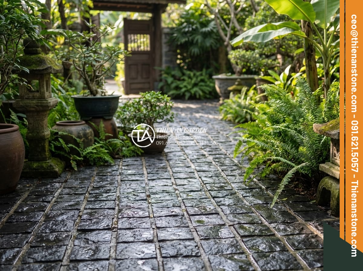 Cách xử lý cỏ mọc giữa các khe đá cubic hiệu quả và thẩm mỹ - High pressure cleaning and eco-friendly treatment of cubic stone pathway in a Vi