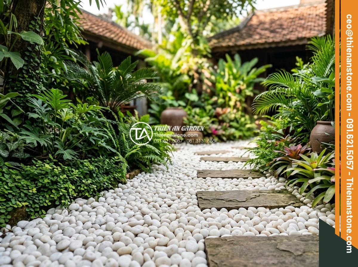 Cách Xử Lý Khi Sỏi Sân Vườn Bị Rêu Mốc Vào Mùa Mưa - Hình 18 Cách Xử Lý Khi Sỏi Sân Vườn Bị Rêu Mốc Vào Mùa Mưa - Well-maintained pebble garden after regular care, lush green surroundings with p