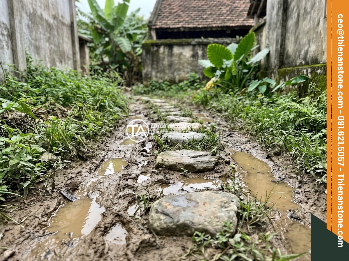 Case study: Cải tạo lối đi bùn đất thành đường đá bước dạo sang trọng - Close-up view of muddy uneven garden path with puddles of water, overgrown weeds