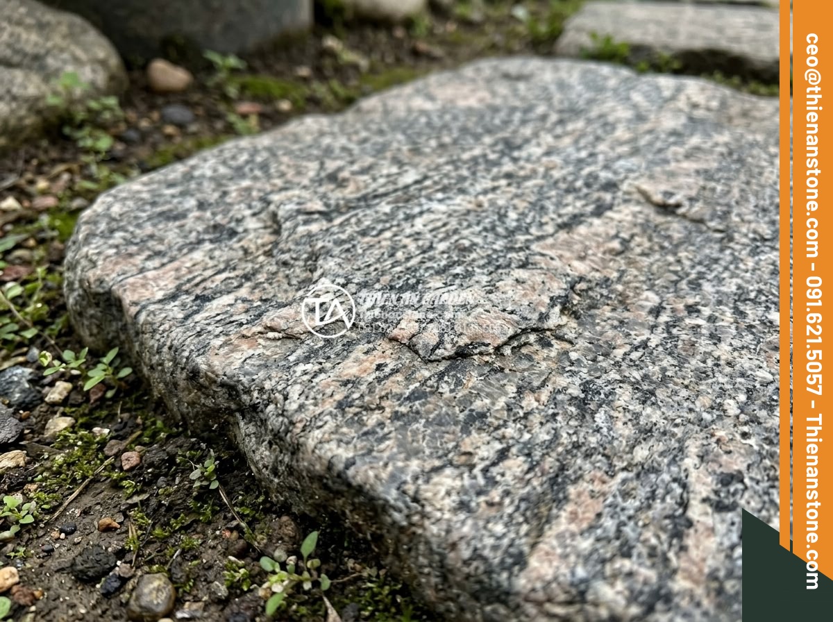 Đá bước dạo granite: Độ bền vĩnh cửu cho các công trình ngoài trời - Detailed close-up of natural veining and mineral composition in high-quality Vie