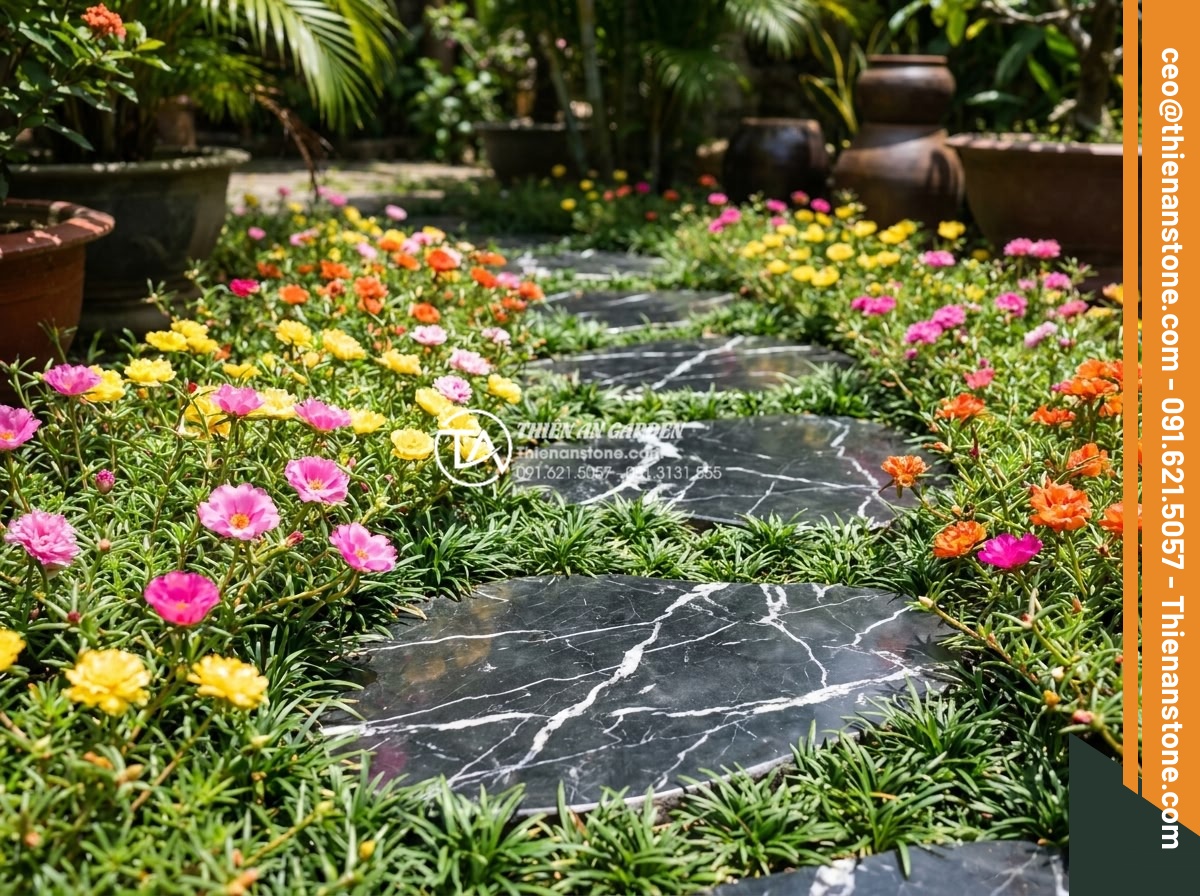 Kết hợp đá dặm bước với cây cỏ lan chi và hoa mười giờ - Bright colorful portulaca flowers in full bloom with pink, yellow, and orange pe