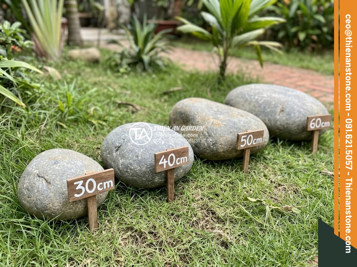 Kích thước đá bước dạo chuẩn: Cách chọn độ dày và đường kính phù hợp - Various standard diameter sizes of natural stepping stones displayed side by sid