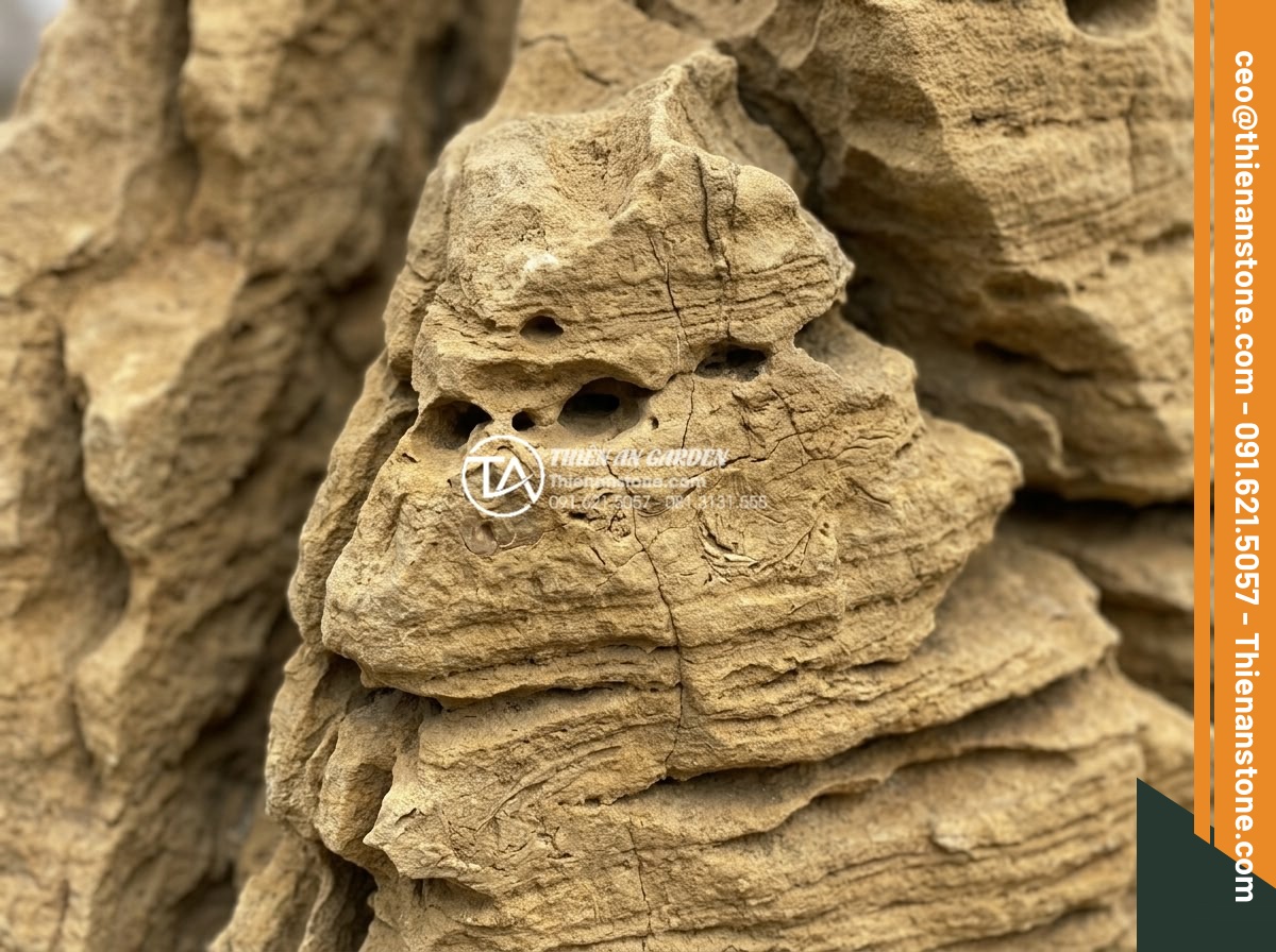 Mua đá cổ thạch ở đâu? Địa chỉ bán uy tín tại TPHCM và Hải Phòng - Macro photography of ancient stone surface showing natural holes, cracks, and fo