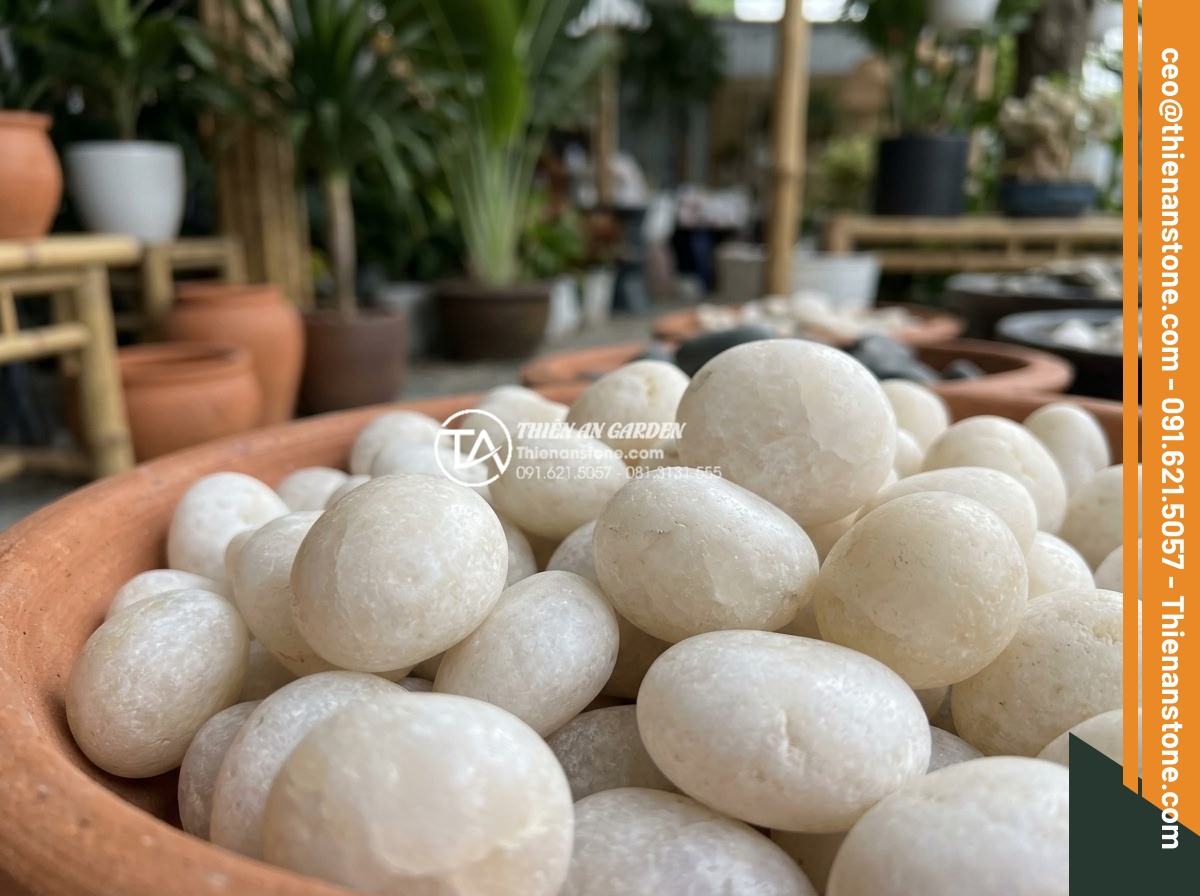 Mua Sỏi Trang Trí Sân Vườn Đà Nẵng: Top 5 Cửa Hàng Giá Tốt - Hình 8 Mua Sỏi Trang Trí Sân Vườn Đà Nẵng: Top 5 Cửa Hàng Giá Tốt - Customer selecting high-quality decorative stones at a reputable Da Nang garden