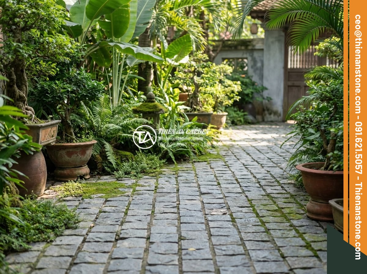Top 15 mẫu lát đá cubic sân vườn đẹp mắt dẫn đầu xu hướng 2026 - Long-term beautiful maintained cubic stone paved garden after several years with
