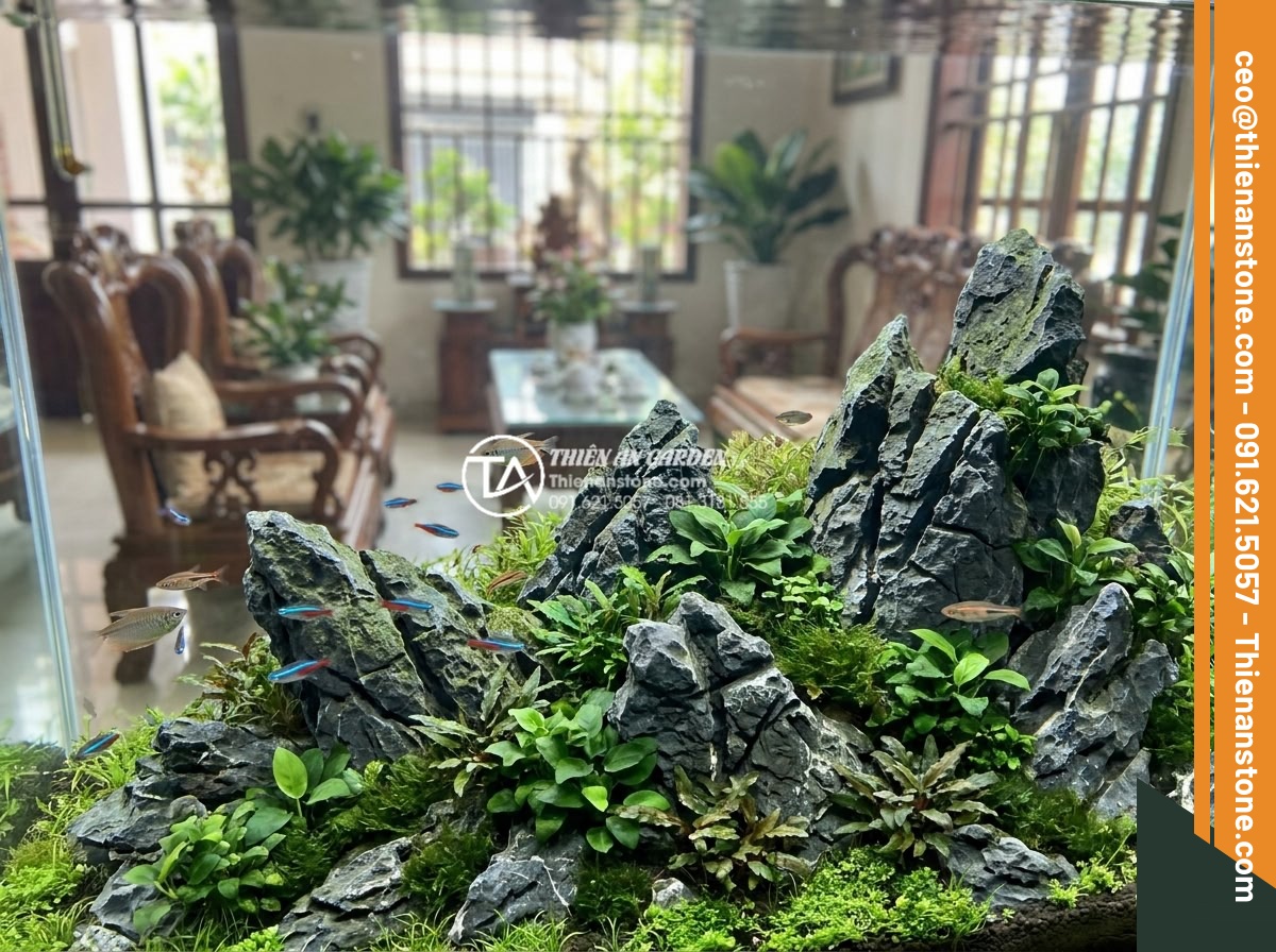 Ảnh hưởng của đá tai mèo đến môi trường nước trong bể thủy sinh - Hình 2 Ảnh hưởng của đá tai mèo đến môi trường nước trong bể thủy sinh - Wide view of aquascape layout using multiple cat ear stones in a large aquarium
