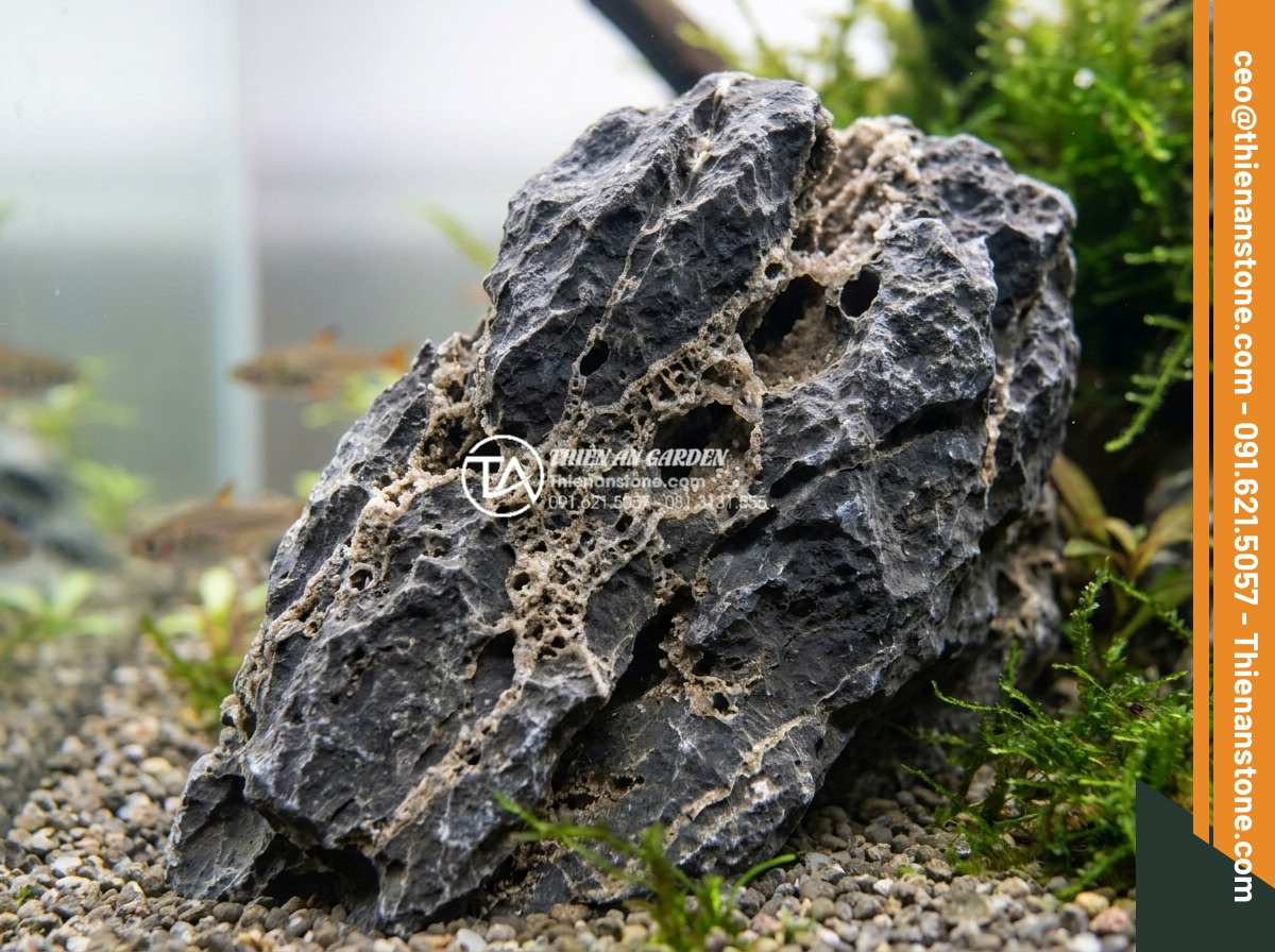 Ảnh hưởng của đá tai mèo đến môi trường nước trong bể thủy sinh - Hình 3 Ảnh hưởng của đá tai mèo đến môi trường nước trong bể thủy sinh - Macro close-up of cat ear stone chemical composition showing porous texture, min