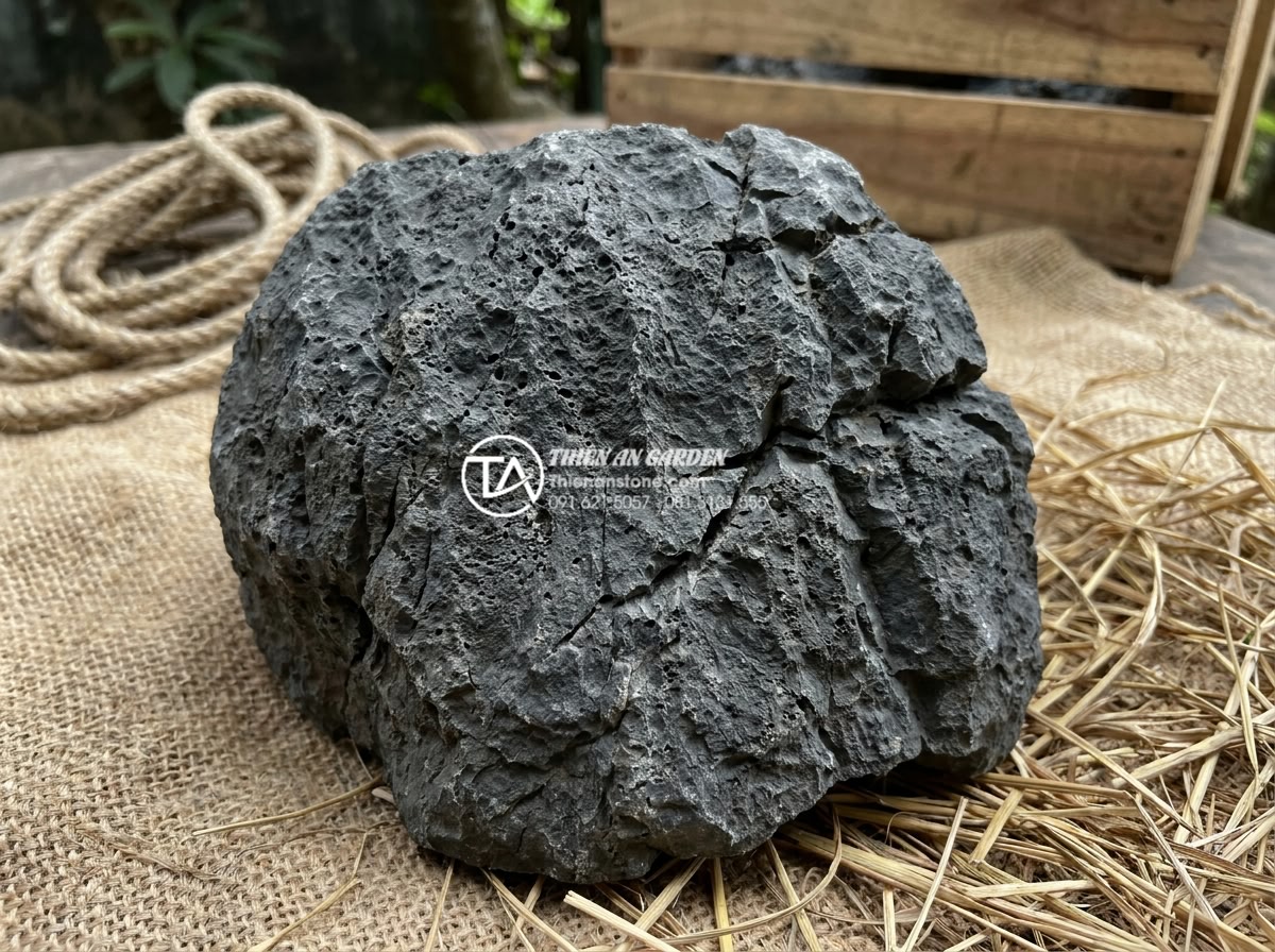 Cách vận chuyển đá tai mèo khối lượng lớn không bị nứt vỡ - Close-up view of cat ear stone texture showing natural pores and micro cracks be
