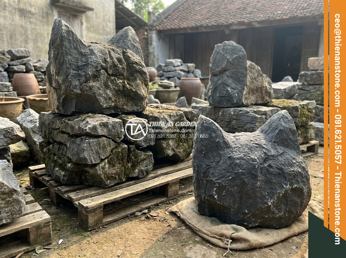 Cách vận chuyển đá tai mèo khối lượng lớn không bị nứt vỡ - Happy clients receiving intact large cat ear stones from reliable supplier Da Ca