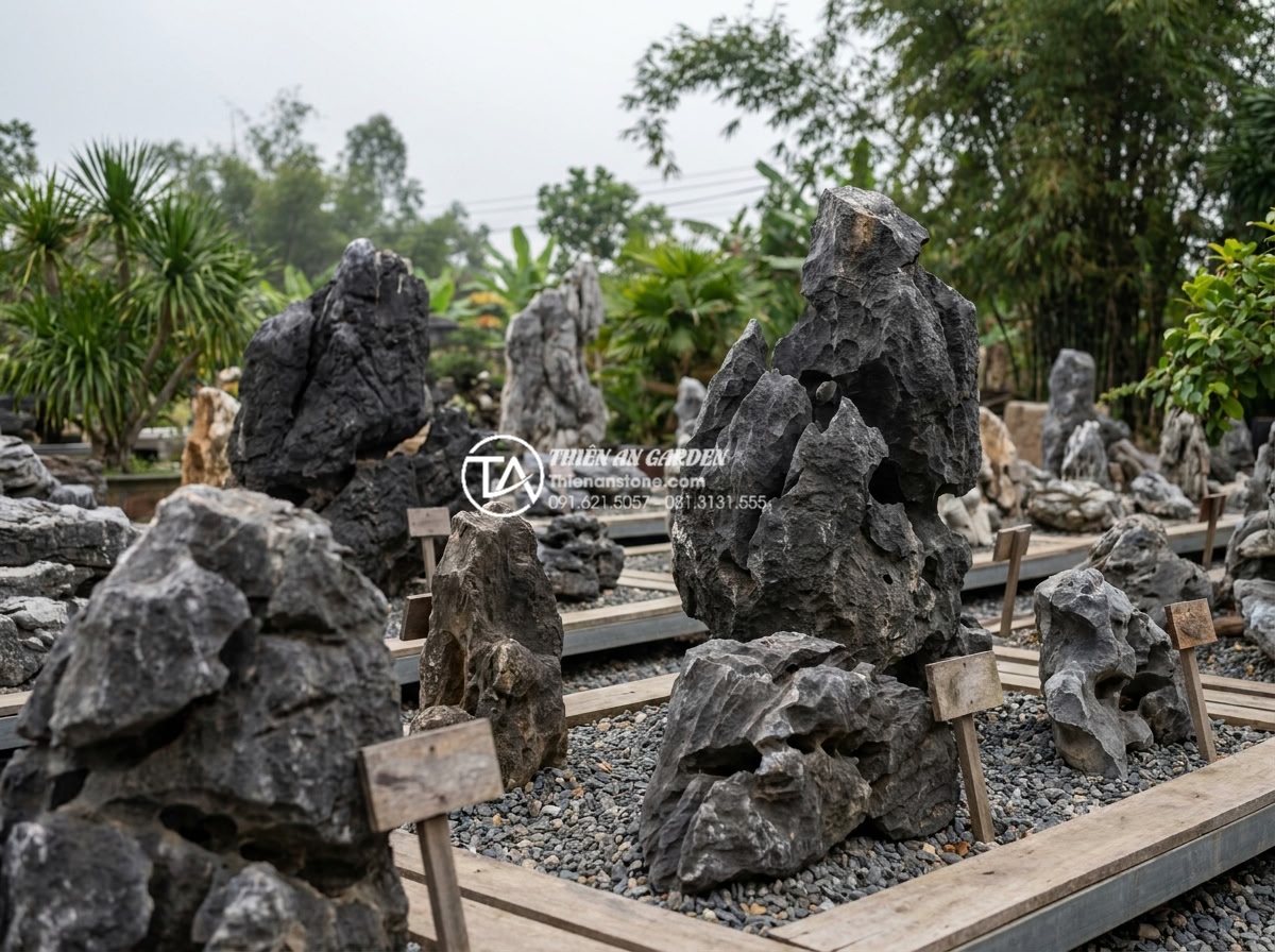 Checklist 7 bước chọn mua đá tai mèo chuẩn cho người mới bắt đầu - Panoramic view of various sizes of natural cat ear stones arranged in a professi