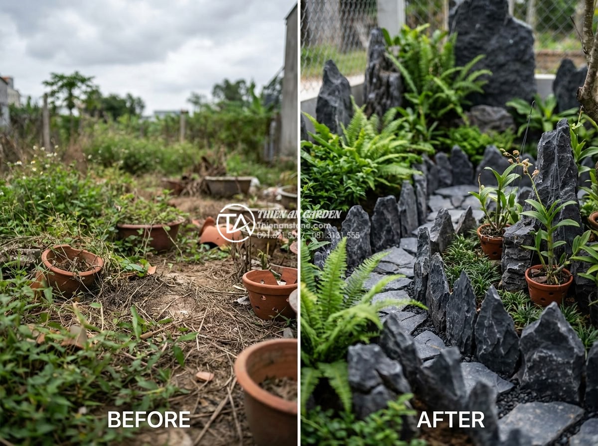 Checklist 7 bước chọn mua đá tai mèo chuẩn cho người mới bắt đầu - Before and after comparison of garden transformation using cat ear stones, illus