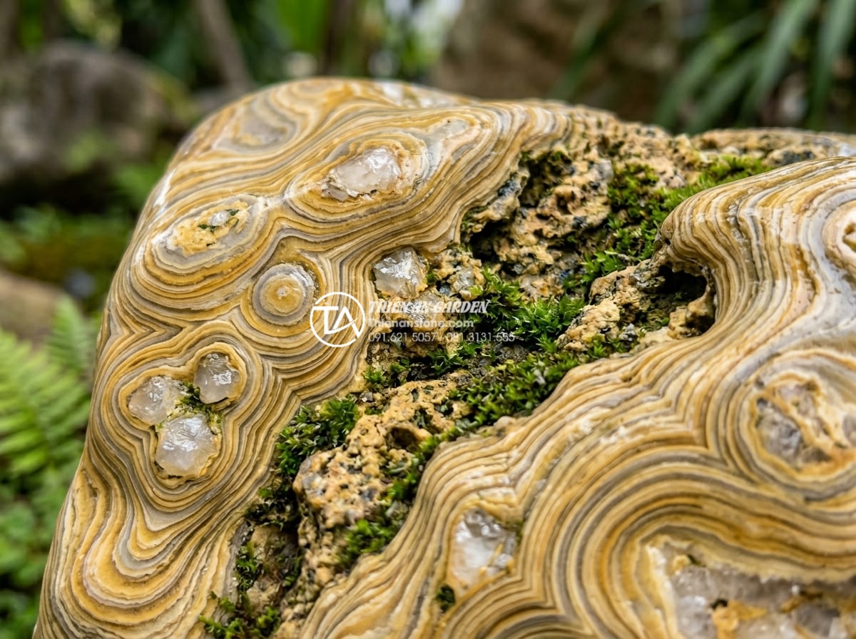 Đá rối vàng quay: Ứng dụng độc đáo trong trang trí tiểu cảnh - Detailed macro photograph of the physical texture of da roi vang quay stone show
