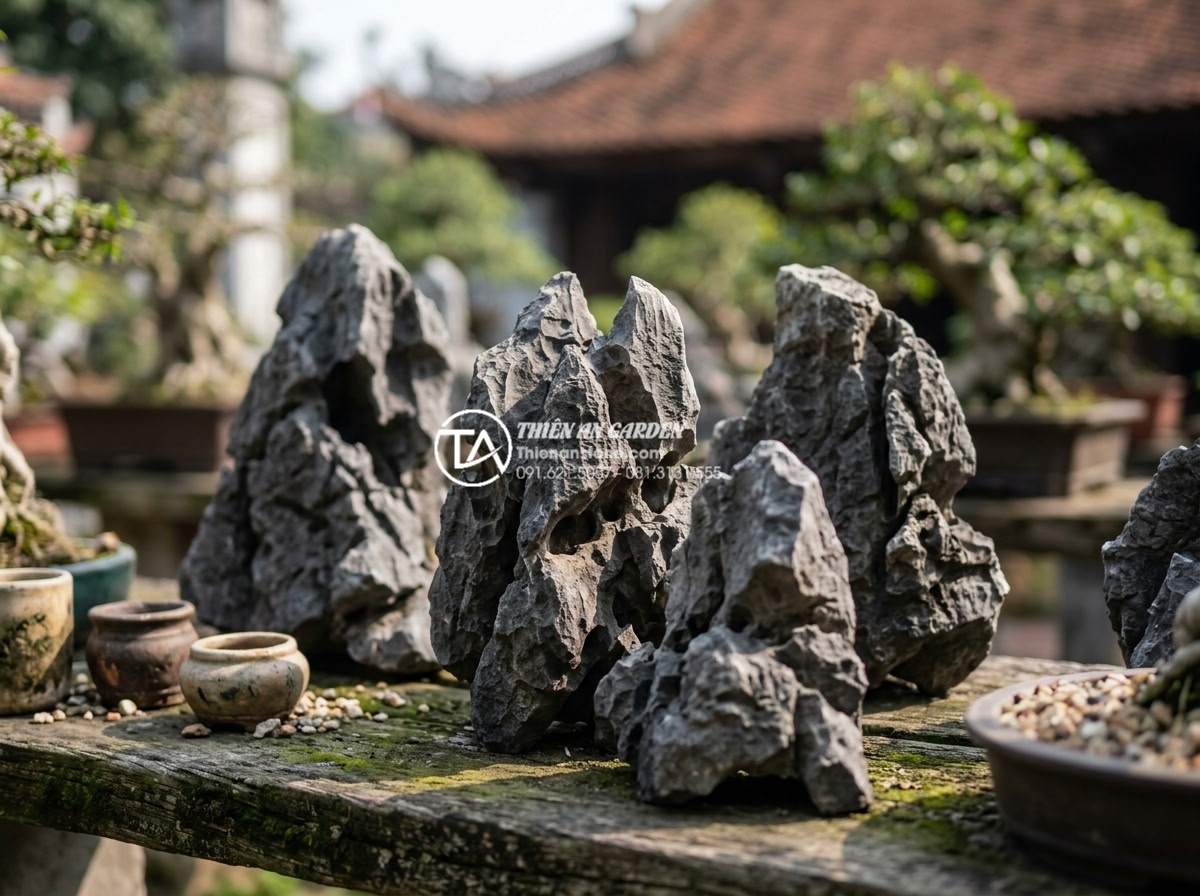 Đá tai mèo mini: Xu hướng decor bàn làm việc được ưa chuộng 2026 - Hình 16 Đá tai mèo mini: Xu hướng decor bàn làm việc được ưa chuộng 2026 - Detailed view of Ninh Binh mini cat ear stones used in bonsai and garden decor,