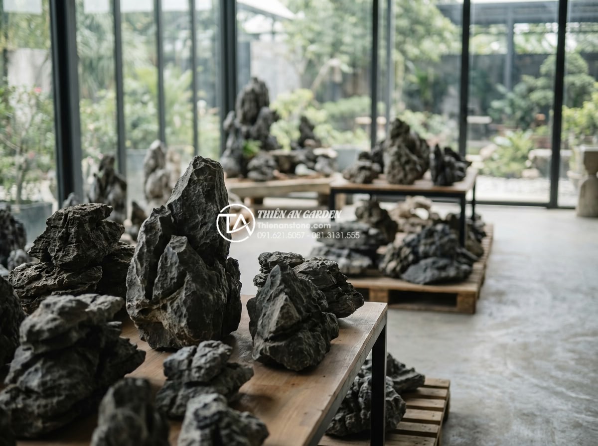 Tại sao đá tai mèo Hà Giang lại là 'vua' của các loại đá làm cây cảnh? - Customer viewing and selecting various grades of Ha Giang cat ear stones at a pr