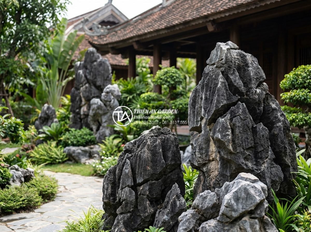 Tại sao đá tai mèo Hà Giang lại là 'vua' của các loại đá làm cây cảnh? - Professional team from Da Canh Thien An installing large Ha Giang cat ear stone 
