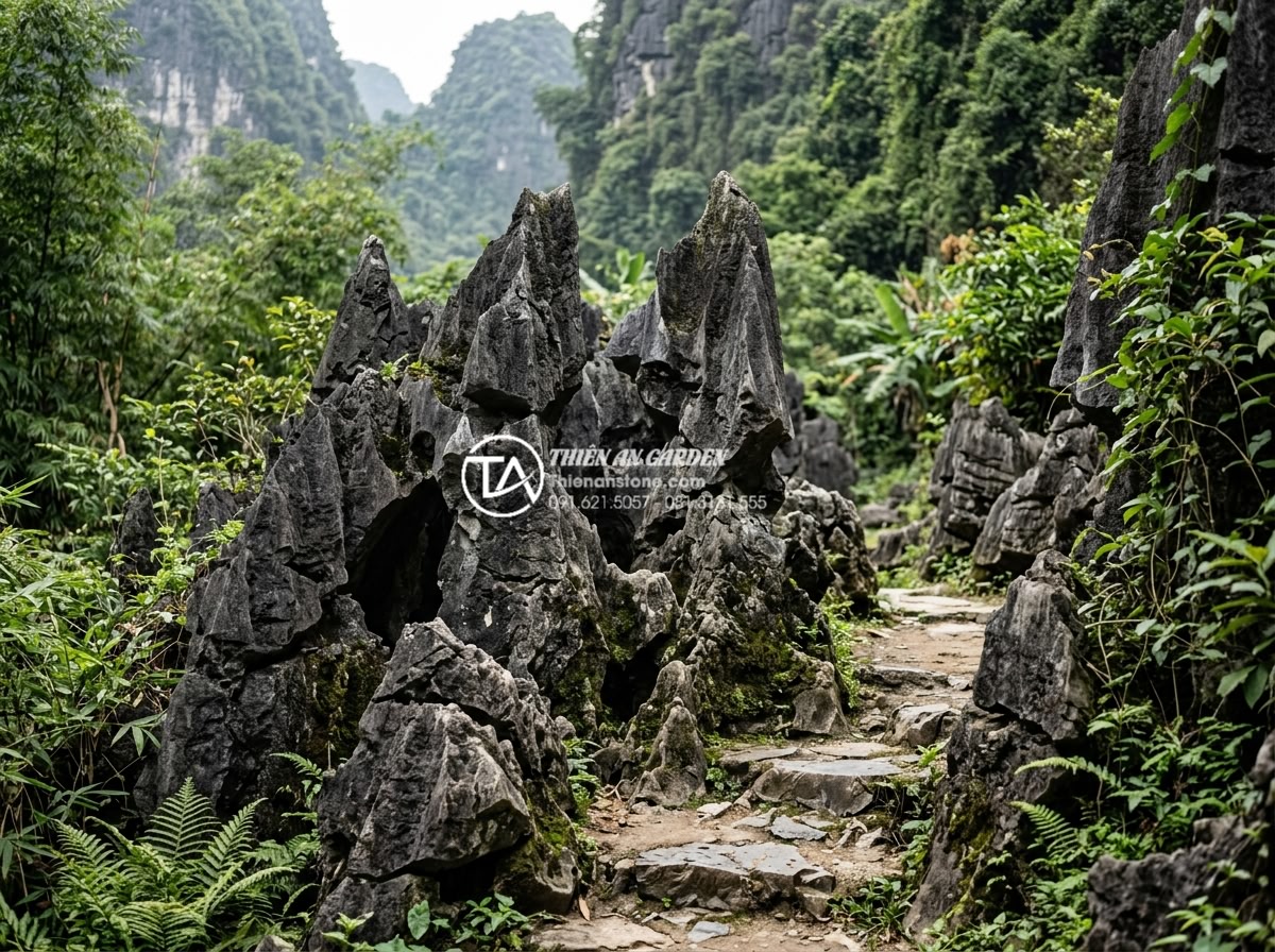 Ứng dụng đá tai mèo trong trang trí hồ cá Koi và cảnh quan sân vườn - Long-term aged cat ear stone landscape looking naturally beautiful after years o