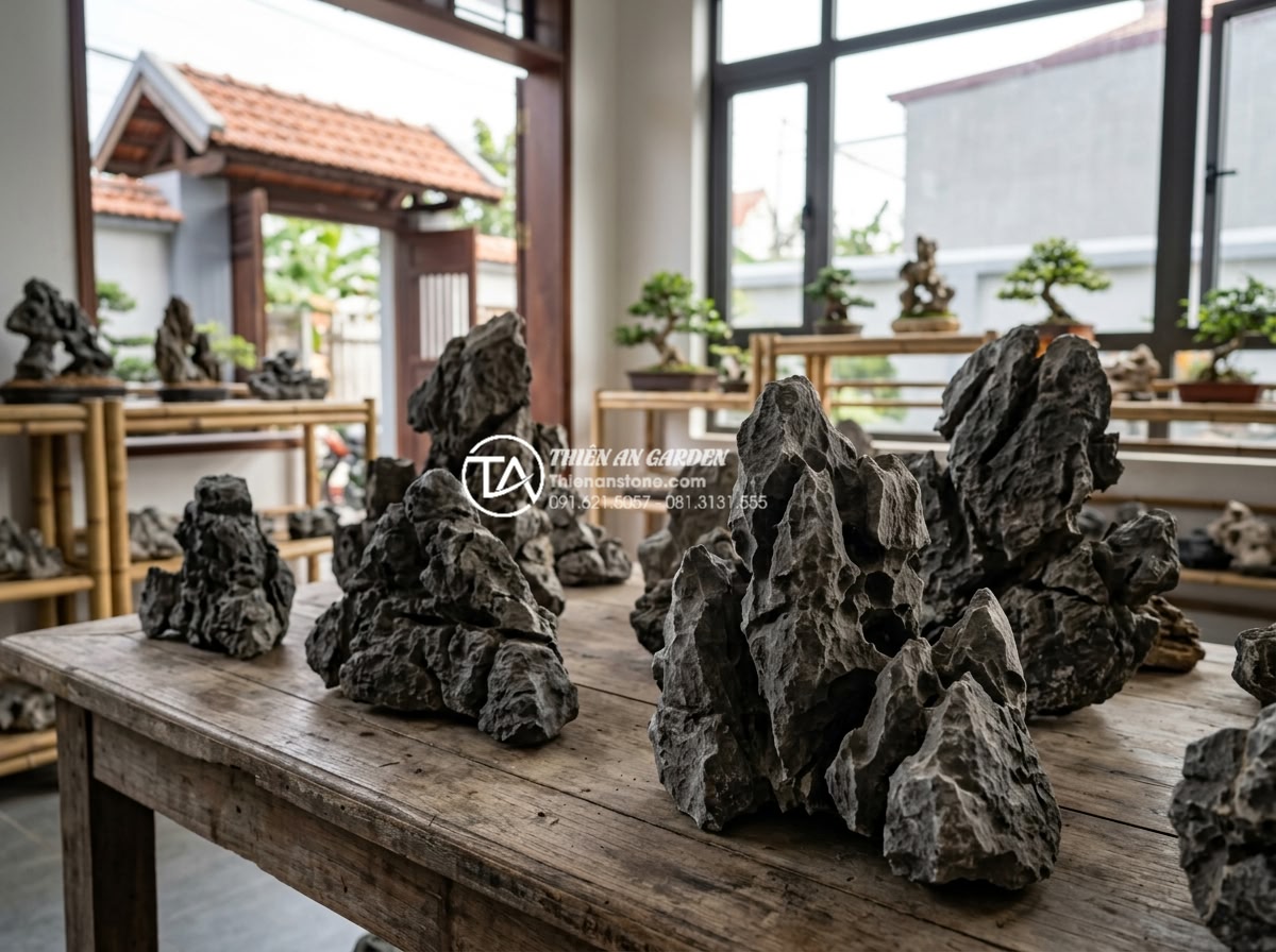Cách chọn đá tai mèo làm bonsai: Bí quyết tạo tác phẩm nghệ thuật - Customer inspecting and purchasing cat ear stones at a reputable natural stone s
