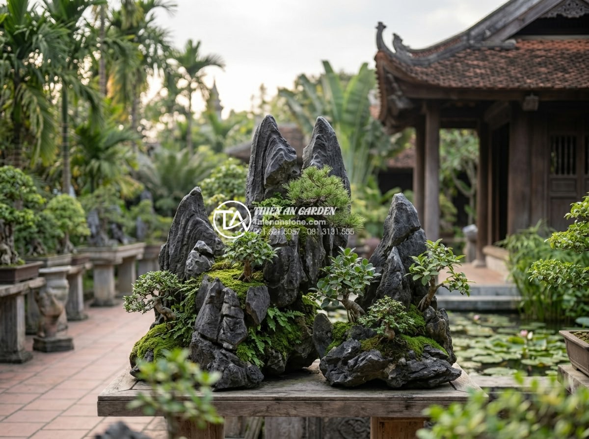 Cách chọn đá tai mèo làm bonsai: Bí quyết tạo tác phẩm nghệ thuật - Wide angle shot of several cat ear stones arranged in a bonsai display with smal
