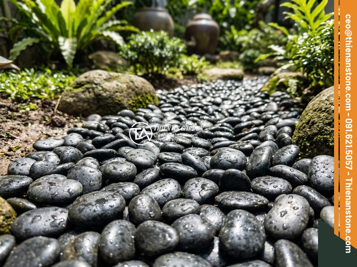 Cách xử lý đá cuội đen bị bạc màu và bí quyết giữ màu đá luôn bóng đẹp - Hình 8 Cách xử lý đá cuội đen bị bạc màu và bí quyết giữ màu đá luôn bóng đẹp - Freshly cleaned and wet black pebble stones sparkling in sunlight after maintena