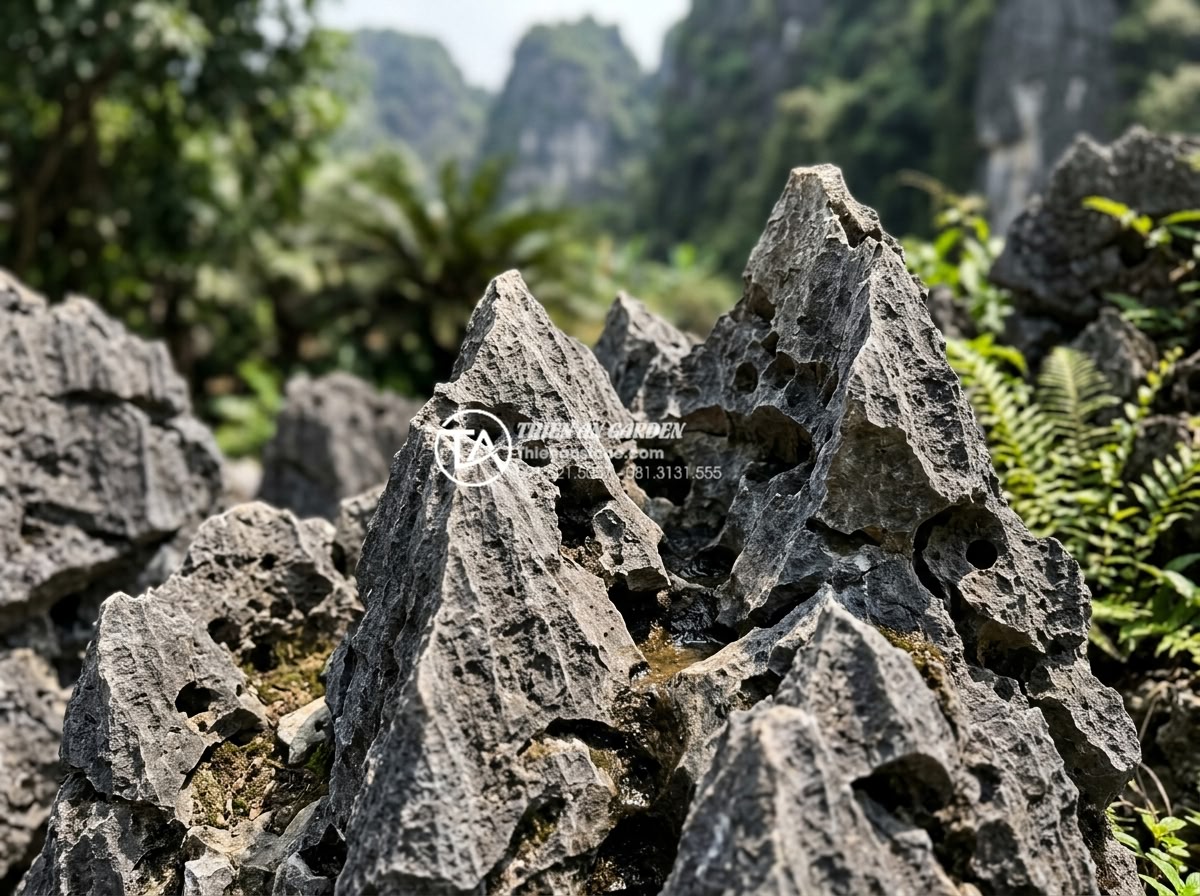 Đá tai mèo Ninh Bình: Đặc trưng riêng biệt và ứng dụng sân vườn - Hình 1 Đá tai mèo Ninh Bình: Đặc trưng riêng biệt và ứng dụng sân vườn - Close-up high-resolution photograph of authentic Da Tai Meo Ninh Binh stones dis