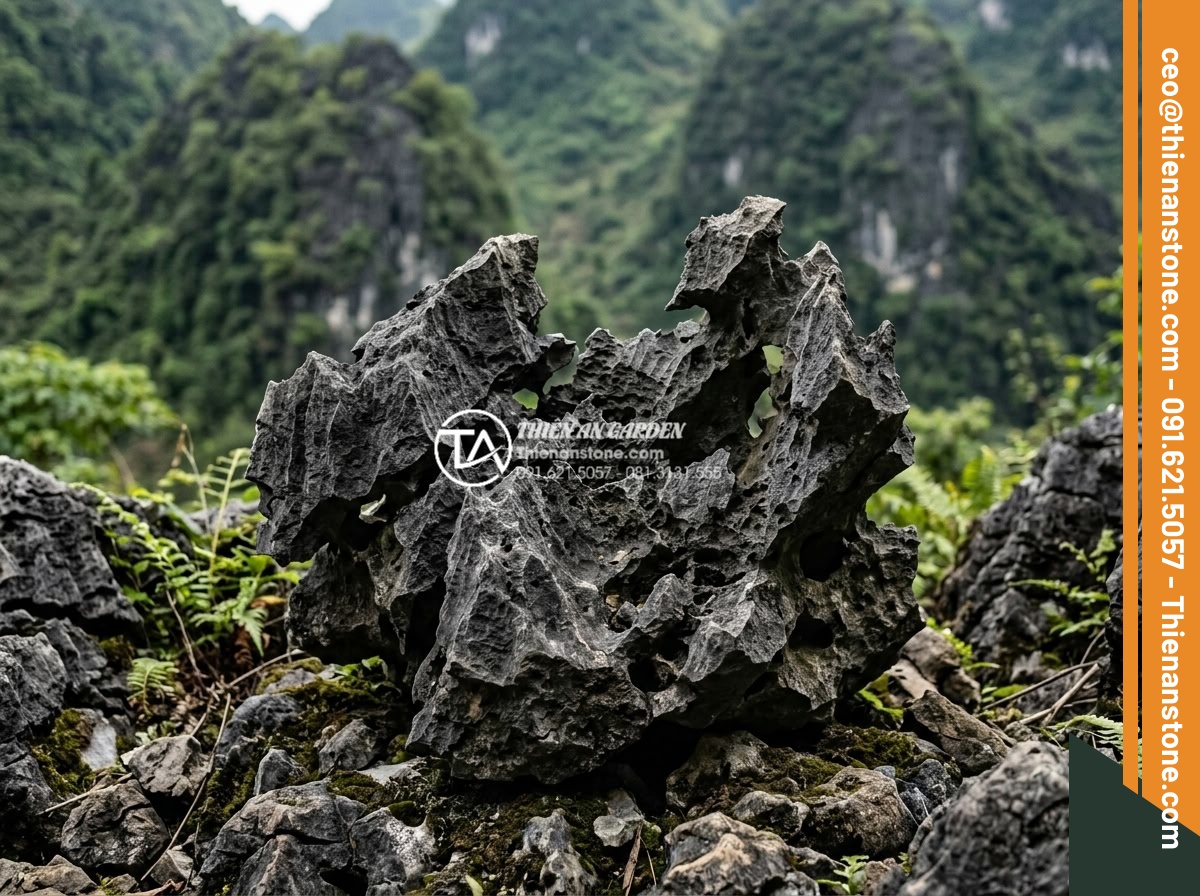 Địa chỉ bán đá tai mèo Hà Giang và Ninh Bình chất lượng nhất - Detailed close-up photograph of natural cat ear stones showing porous texture, j