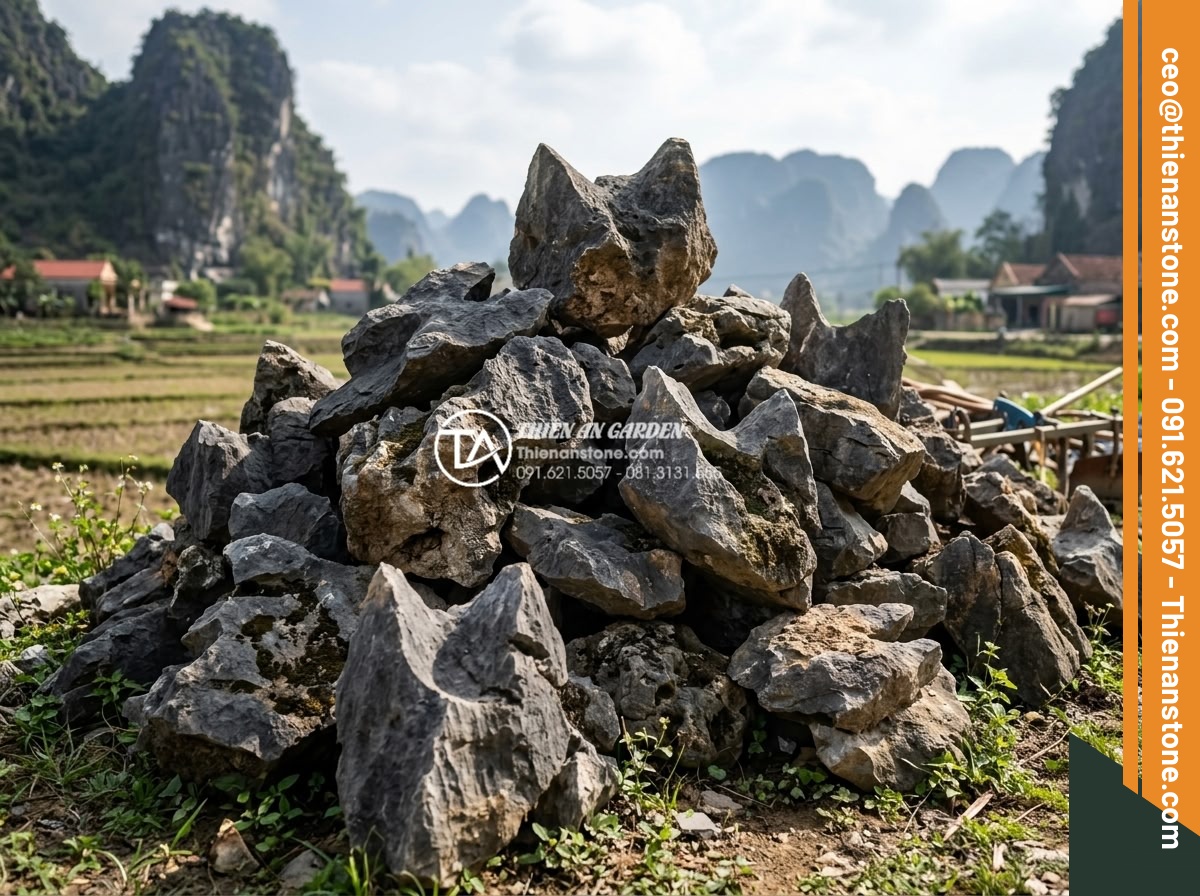 Địa chỉ bán đá tai mèo Hà Giang và Ninh Bình chất lượng nhất - Wide angle view of various sizes of cat ear stones piled naturally outdoors high