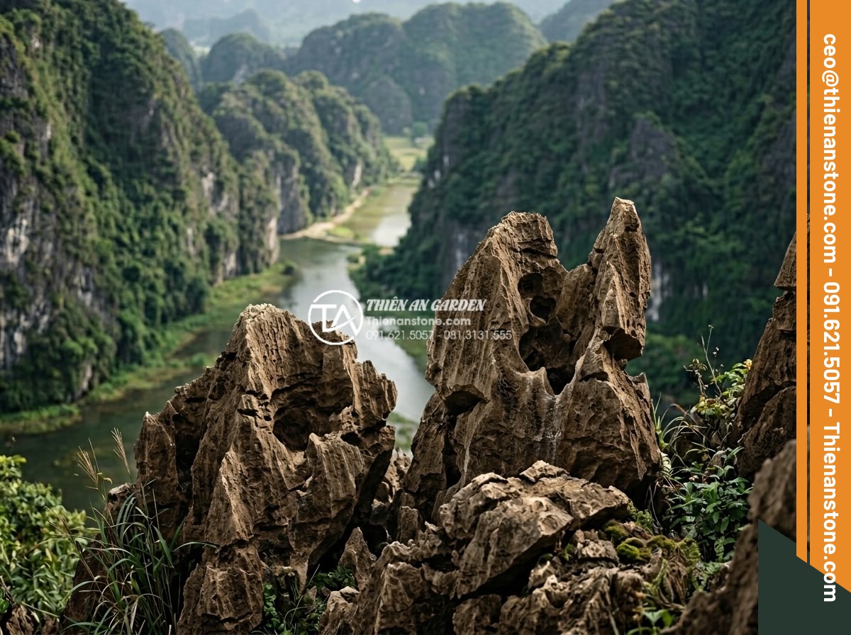 Địa chỉ bán đá tai mèo Hà Giang và Ninh Bình chất lượng nhất - Detailed image of Ninh Binh cat ear stones displaying warm brown tones and delic