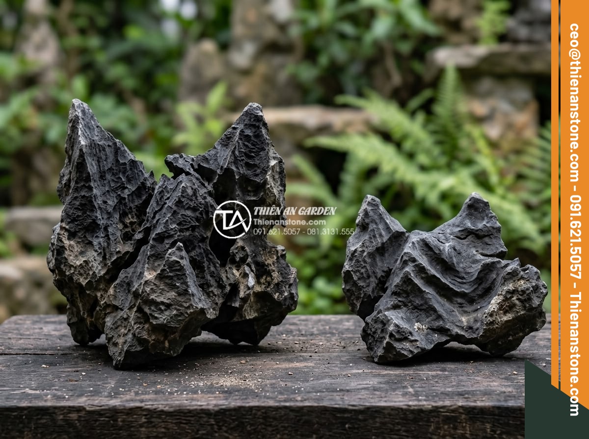 Địa chỉ bán đá tai mèo Hà Giang và Ninh Bình chất lượng nhất - Side by side comparison photo of Ha Giang and Ninh Binh cat ear stones showing c