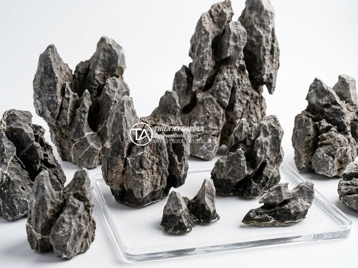 Hướng dẫn setup bể đá tai mèo thủy sinh chi tiết từ A-Z - Detailed close-up professional image of various natural cat ear stones (đá tai m