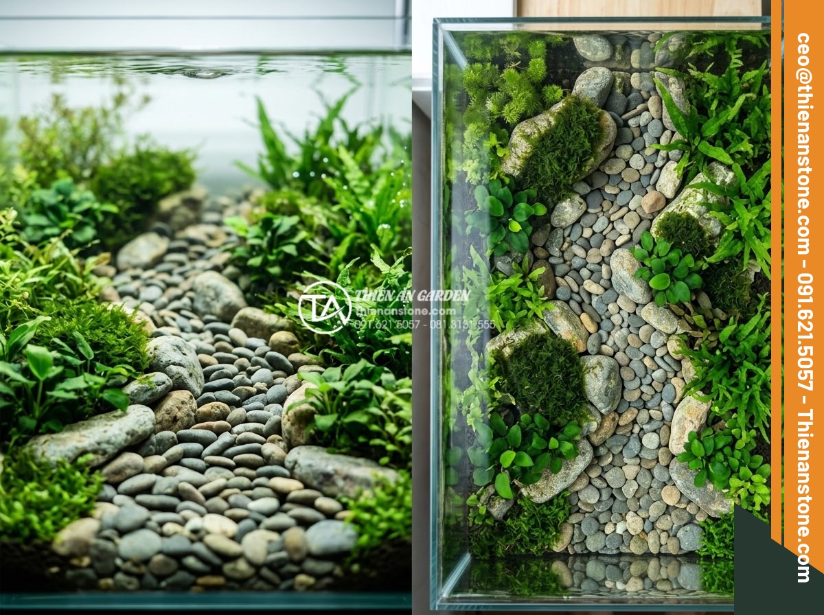 Hướng dẫn tự làm suối đá cuội mini trong bình thủy sinh cho người mới - Top-down and side view of a beautifully designed pebble layout in a glass aquari