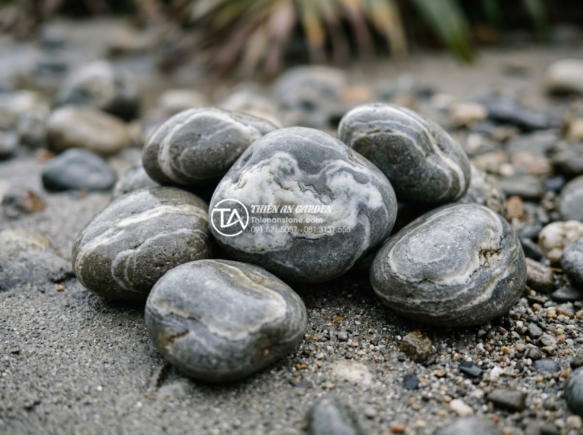 Mua đá cuội vân mây ở đâu? Top 5 địa chỉ cung cấp uy tín, giá sỉ - Detailed macro shot showing unique cloud vein patterns on individual pebble ston