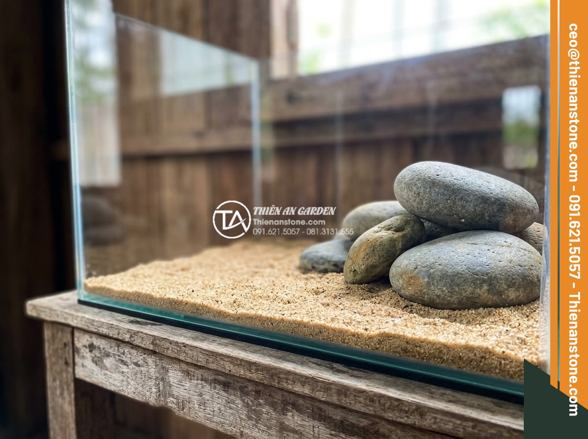 Những loại cây thủy sinh cực hợp với layout đá cuội trong bể Biotop - Complete step by step biotope pebble stone aquarium setup process with plants be