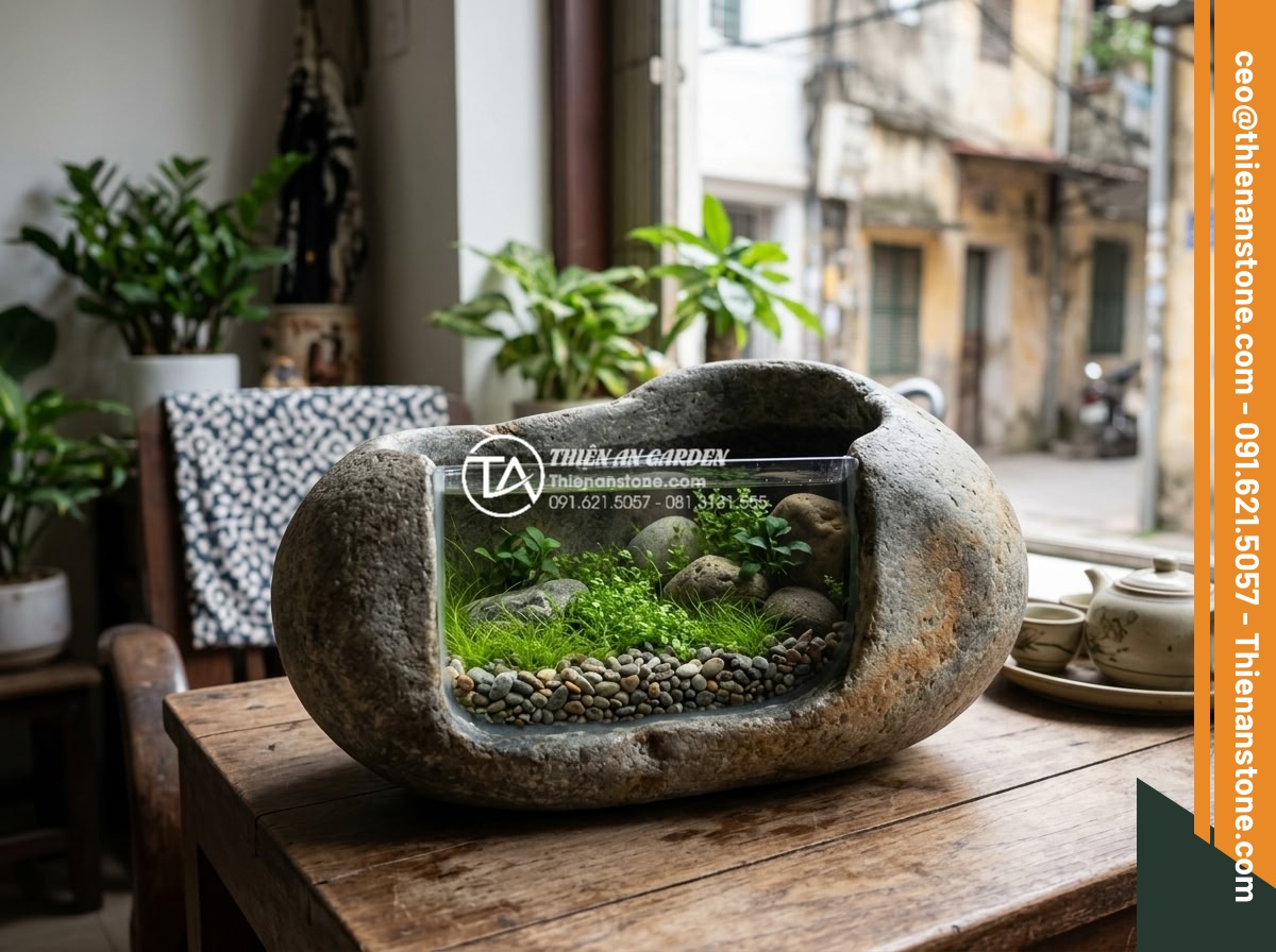 Những loại cây thủy sinh cực hợp với layout đá cuội trong bể Biotop - Small apartment sized biotope tank with pebble stones and low growing aquatic pl