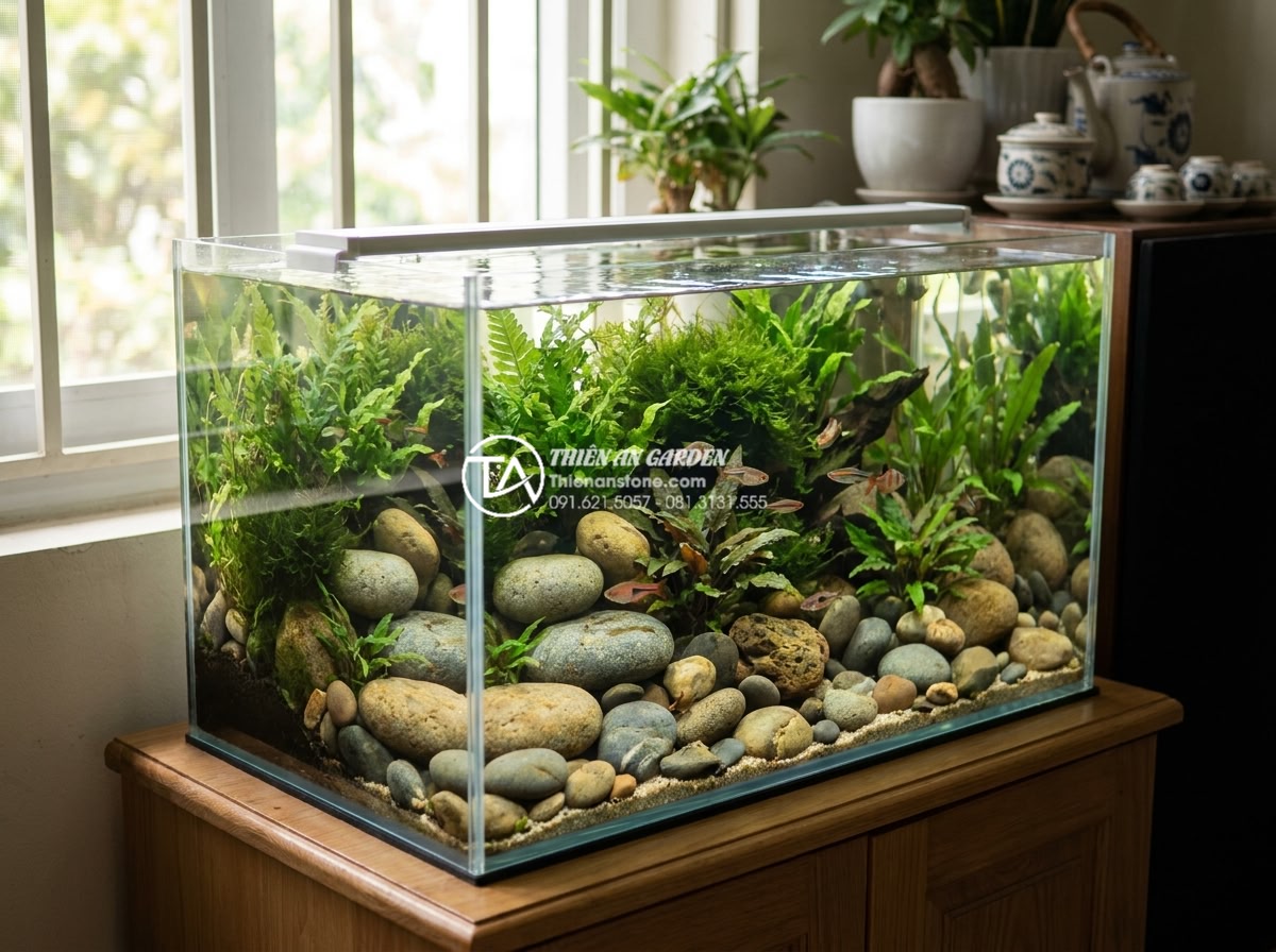 Setup bể cá bằng đá cuội: Cẩm nang tạo hồ Biotop và thủy sinh từ A-Z - A realistic high-resolution photograph of a completed biotop aquarium setup usin