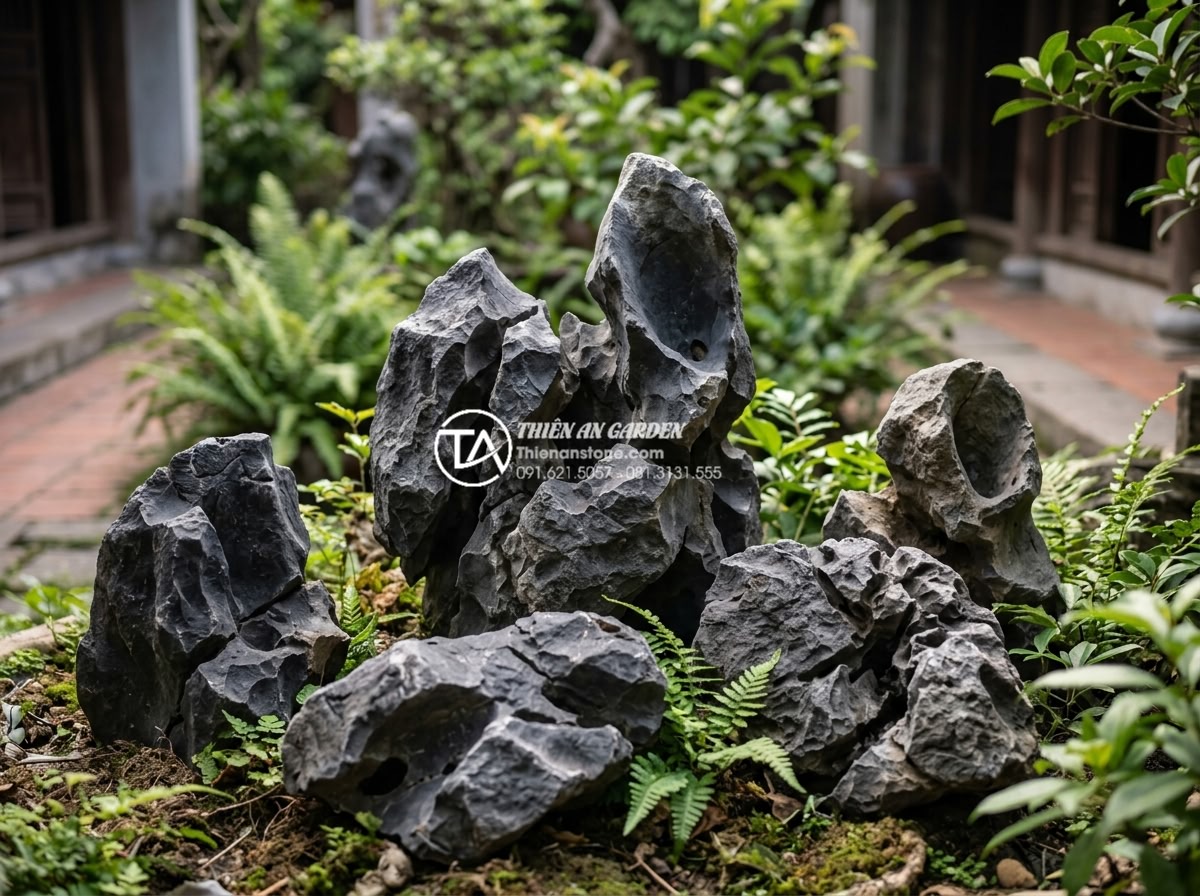 So sánh đá tai mèo Hà Giang và đá tai mèo Cúc Phương: Loại nào đẹp hơn? - Detailed close-up photograph of various Vietnamese cat ear stones arranged in a 
