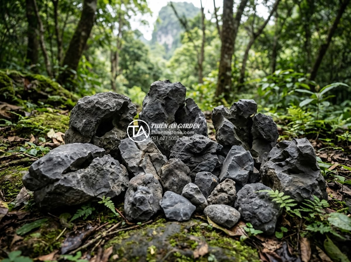 So sánh đá tai mèo Hà Giang và đá tai mèo Cúc Phương: Loại nào đẹp hơn? - Collection of Cuc Phuong cat ear stones in different sizes showcasing their unif