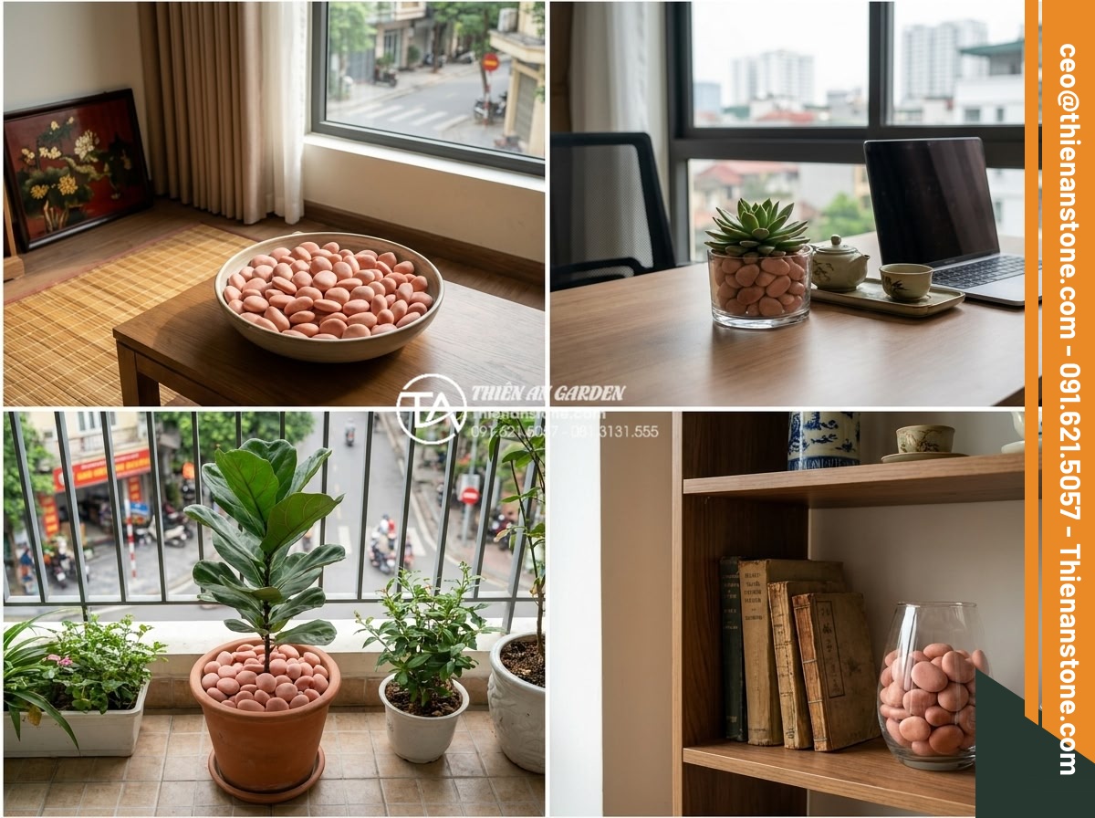 Sỏi cuội trang trí: Bí quyết phối hợp sỏi đá cuội cho chậu cây nội thất - Color matched pebble decoration in various indoor settings from living room to o