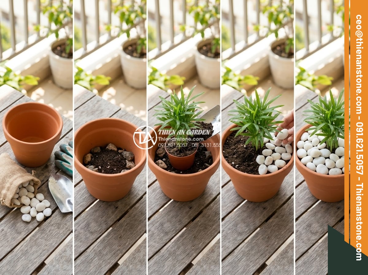 Sỏi cuội trang trí: Bí quyết phối hợp sỏi đá cuội cho chậu cây nội thất - Step-by-step tutorial style image showing layering technique of pebbles in indoo