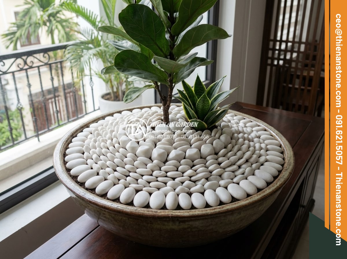 Sỏi cuội trang trí: Bí quyết phối hợp sỏi đá cuội cho chậu cây nội thất - Advanced pebble arrangement techniques creating patterns and layers around indoo