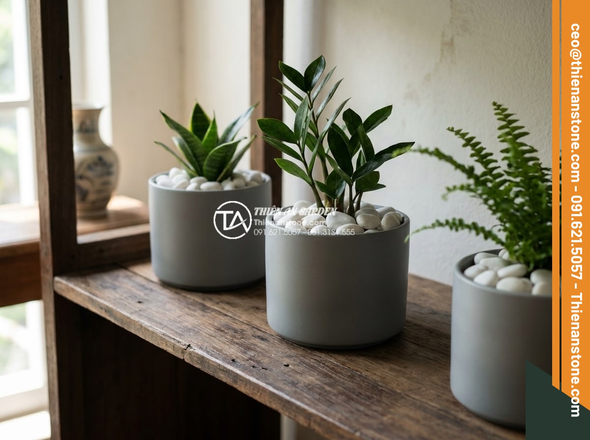 Sỏi cuội trang trí: Bí quyết phối hợp sỏi đá cuội cho chậu cây nội thất - Minimalist Zen style indoor plant pots with white pebbles and simple green folia