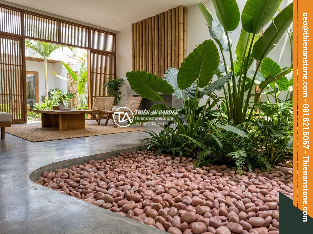 Sỏi cuội trang trí: Bí quyết phối hợp sỏi đá cuội cho chậu cây nội thất - Tropical and modern interior design examples using colorful pebble stones with l
