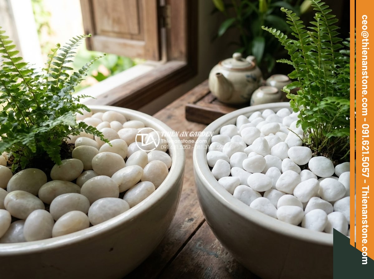 Sỏi cuội trang trí: Bí quyết phối hợp sỏi đá cuội cho chậu cây nội thất - Side by side comparison of natural pebble stones versus artificial pebbles aroun