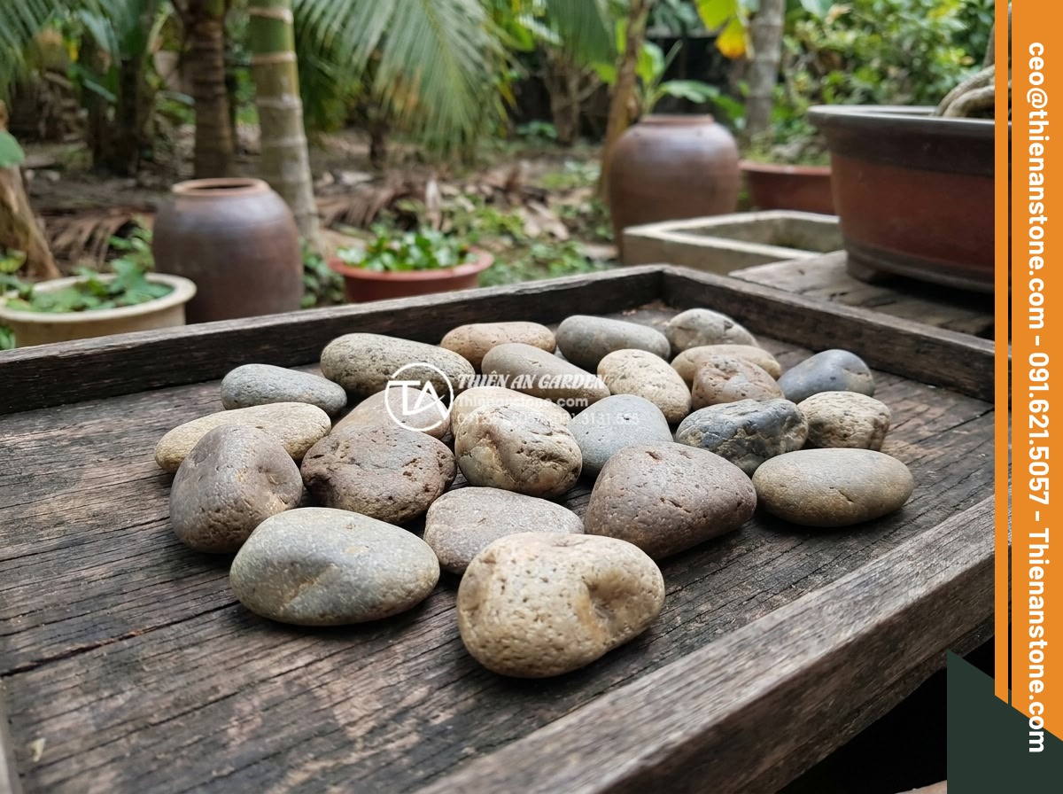 Tác dụng của đá cuội trong đời sống và ý nghĩa phong thủy bạn chưa biết - Variety of different pebble stone types including river, sea and colored pebbles