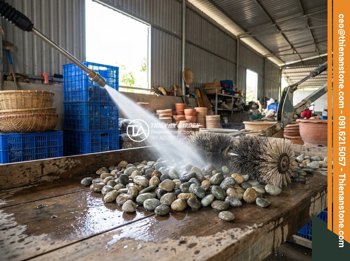 Tác dụng của đá cuội trong đời sống và ý nghĩa phong thủy bạn chưa biết - Professional cleaning process of pebble stones with water spray and brushes in a