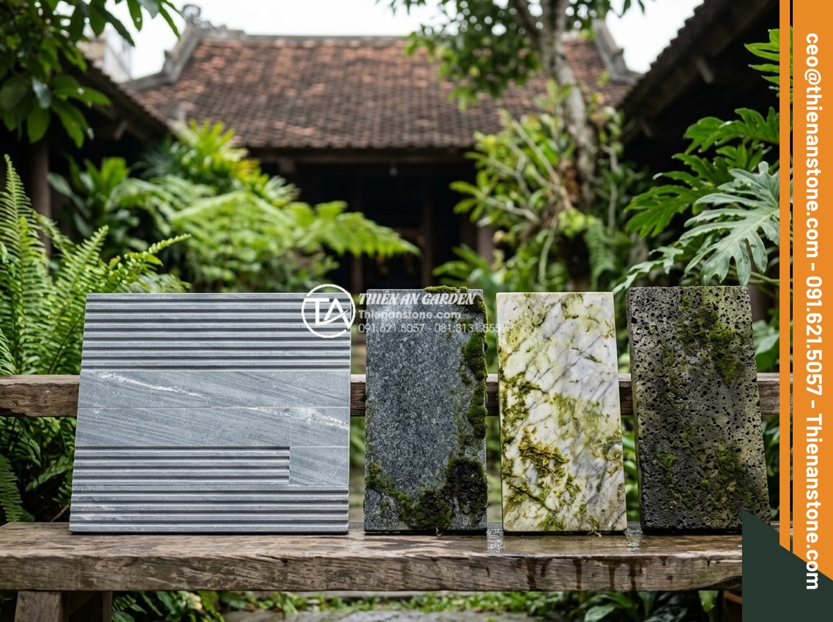 Đá răng lược có bị rêu mốc không? Bí quyết bảo quản đá luôn mới - Comparison chart visualization and real stone samples of comb tooth stone versus