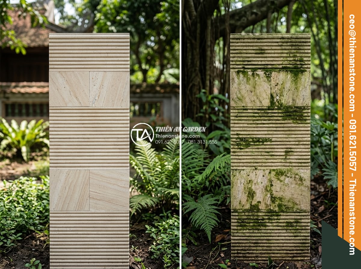 Đá răng lược có bị rêu mốc không? Bí quyết bảo quản đá luôn mới - Side-by-side real world examples of different natural stones in identical garden