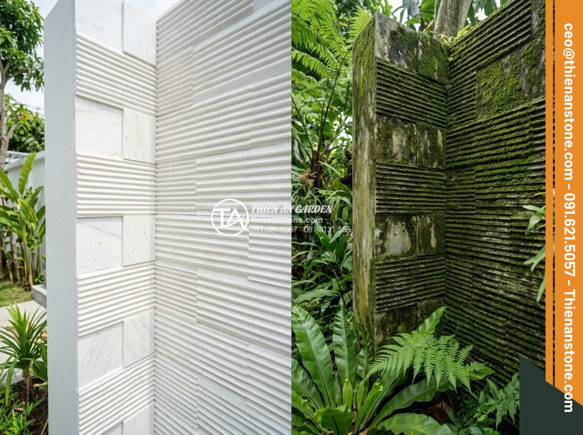 Đá răng lược có bị rêu mốc không? Bí quyết bảo quản đá luôn mới - Before and after comparison image showing clean sharp comb tooth stone versus sa