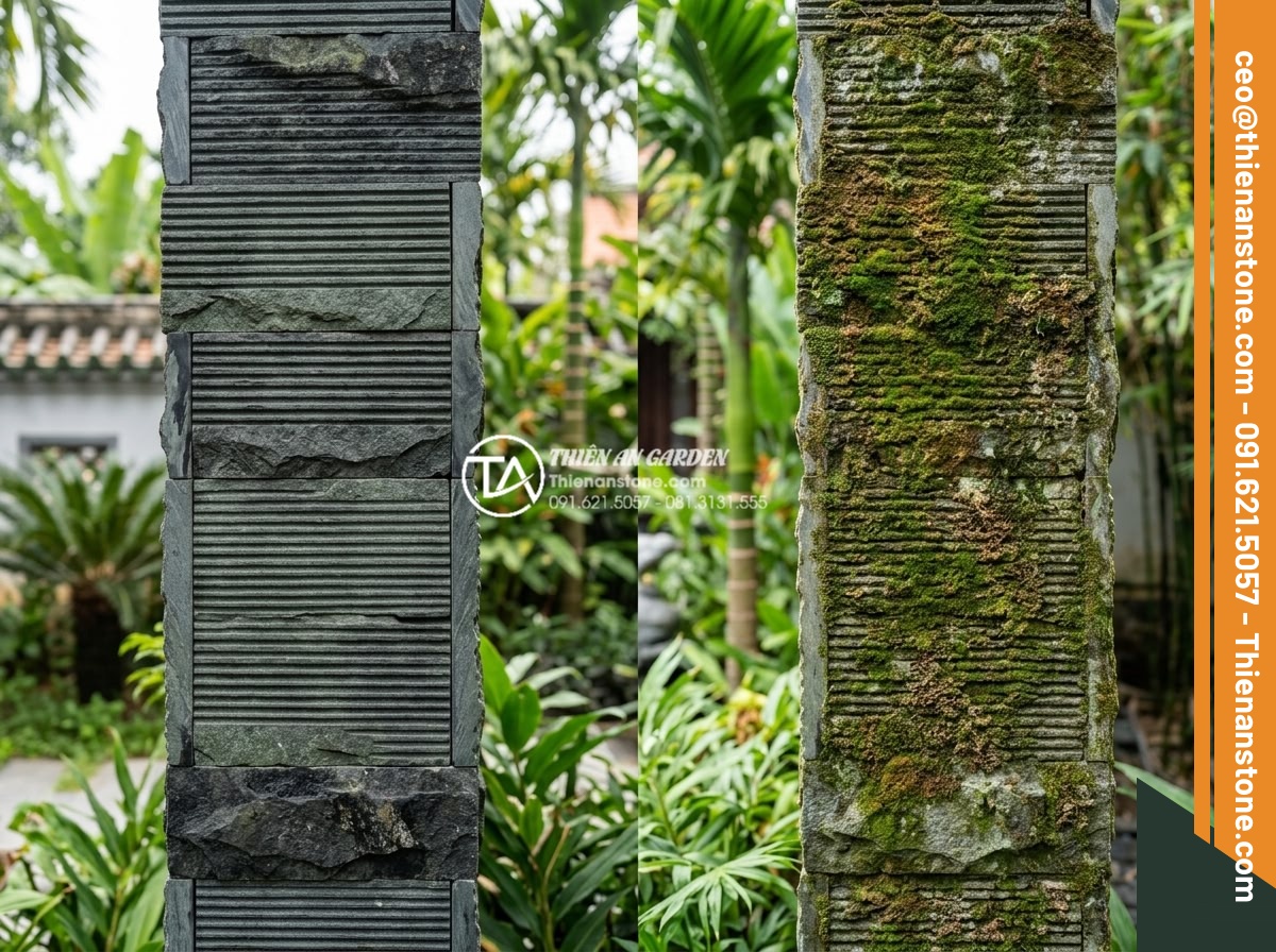 Đá răng lược có bị rêu mốc không? Bí quyết bảo quản đá luôn mới - Side by side comparison of pristine versus moss-damaged comb tooth stone in high